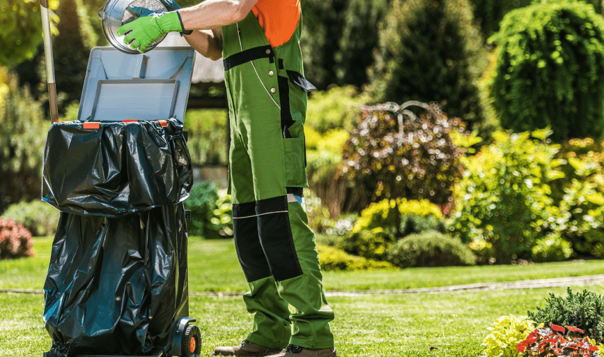 Yard Waste Removal